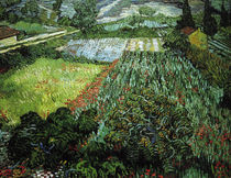 V. v. Gogh, Mohnfeld von klassik art