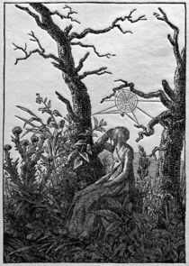 C.D.Friedrich, Frau mit Spinnennetz von klassik art