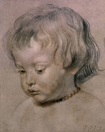 Rubens' son Nicolas by klassik art