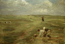 M.Liebermann, Kartoffelbuddler in Dünen by klassik art