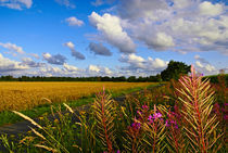 Landliebe by Jens Uhlenbusch