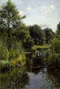 P. Mönsted, Schilf am See von klassik art