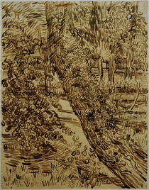 v. Gogh, Baum mit Efeu im Garten... von klassik art