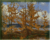 T.Thomson, Tamaracks von klassik art