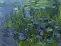 Monet, Water lilies by klassik art