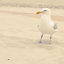 Skeptizismus am Strand by Thomas Schaefer