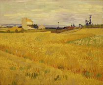 Van Gogh / Weizenfeld / Arles, Juni 1888 von klassik art