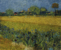 V. v. Gogh, Blick auf Arles mit Irisblüten von klassik art