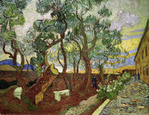van Gogh / Garden of St. Paul Hospital by klassik art
