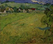 V. v. Gogh, Blick auf Les Vessenots von klassik art
