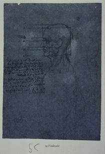 Vinci / Männl. Kopf / Profil / fol. 19 r by klassik art