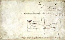 Vinci / Arm und Hand / Studie / fol. 26 r von klassik art