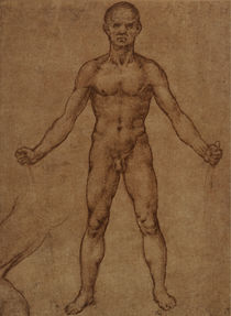 Leonardo / Männlicher Akt frontal / fol. 85r by klassik art