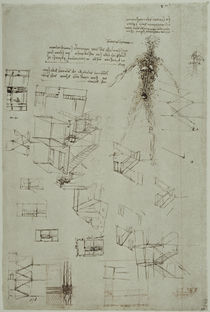 Leonardo / Gefäßsystem / Architektur / fol. 97r von klassik art