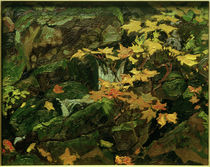 J.E.H.MacDonald, Woodland Brook, Algoma von klassik art