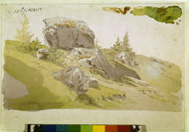C.D.Friedrich, Wiesenstück Riesengebirge von klassik art