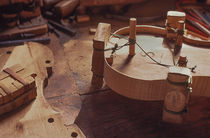 Making a Violin by David Halperin