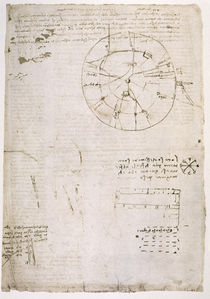 Leonardo / Lautbildung Stimme / fol. 114 r by klassik art