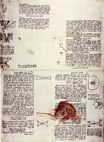 Leonardo / Physiologie des Sehens/f. 118 r von klassik art