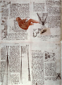 Leonardo / Physiologie des Sehens/f. 118 v von klassik art