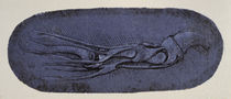Vinci / Bärentatze / Sehnen / fol. 13 r by klassik art