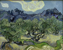 V. van Gogh, Olivenbäume mit Les Alpilles von klassik art