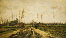 Van Gogh / Paysage de Brabout/1885 von klassik art