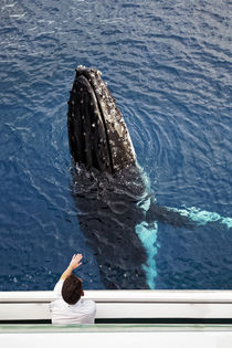 Whale watching by Norbert Probst