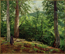 Ph.Franck, Schäfer mit Schafherde im Taunus von klassik art