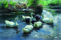 Ducks in a Pond / A.Koester / Painting by klassik art