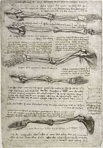 Leonardo / Arm– Handknochen Drehung/f. 135v by klassik art
