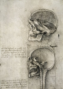 da Vinci / Skulls / Anatomical Drawing by klassik art
