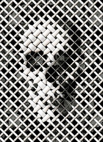 Wicker Skull von Ali GULEC