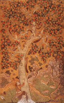 Johnson Album I, No.30 Squirrels on a plane tree by Abu'l Hasan