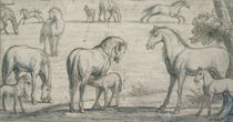 Mares and Foals, 17th century von Francis Barlow