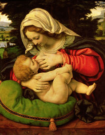 The Virgin of the Green Cushion von Andrea Solario