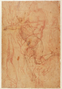 Figure Study von Michelangelo Buonarroti