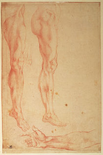 Studies of Legs and Arms von Michelangelo Buonarroti