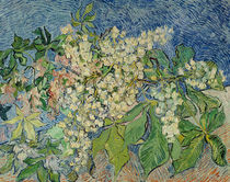 Blossoming Chestnut Branches von Vincent Van Gogh