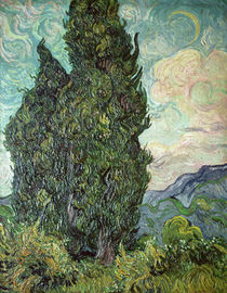 Cypresses, 1889 von Vincent Van Gogh