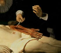 The Anatomy Lesson of Dr. Nicolaes Tulp von Rembrandt Harmenszoon van Rijn