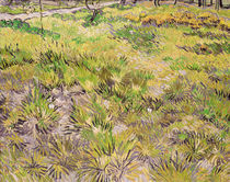 Meadow with Butterflies, 1890 von Vincent Van Gogh