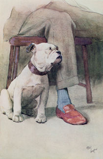 Bulldog von Cecil Charles Windsor Aldin
