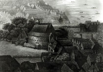 Bear Garden, 1647 von Wenceslaus Hollar