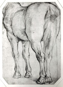 Horse's Rear by Peter Paul Rubens