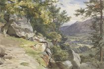 View of Craig-y-Barns, Dunkeld von John Henry Mole