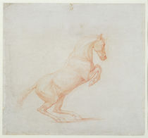 A Prancing Horse, facing right von George Stubbs