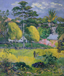 Landscape, 1901 von Paul Gauguin