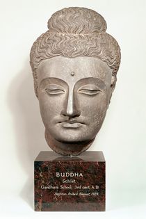 Head from a statue of the Buddha by Indian School