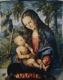 Madonna under the fir tree by Lucas, the Elder Cranach